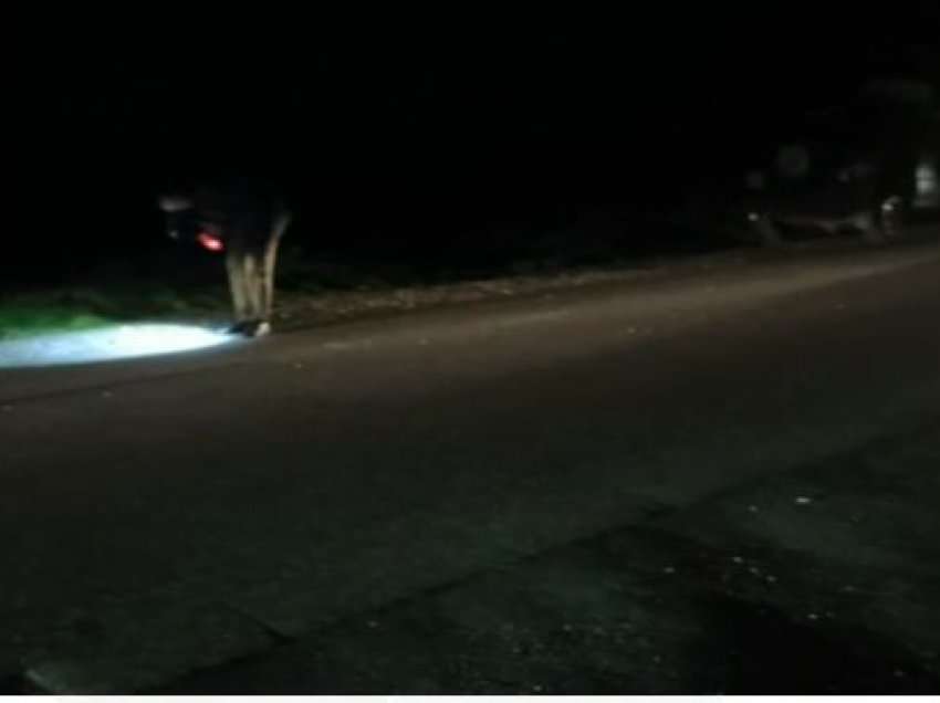 Aksident i rëndë në Lezhë, automjeti përplas personin me aftësi të kufizuara, shoferi largohet nga vendngjarja