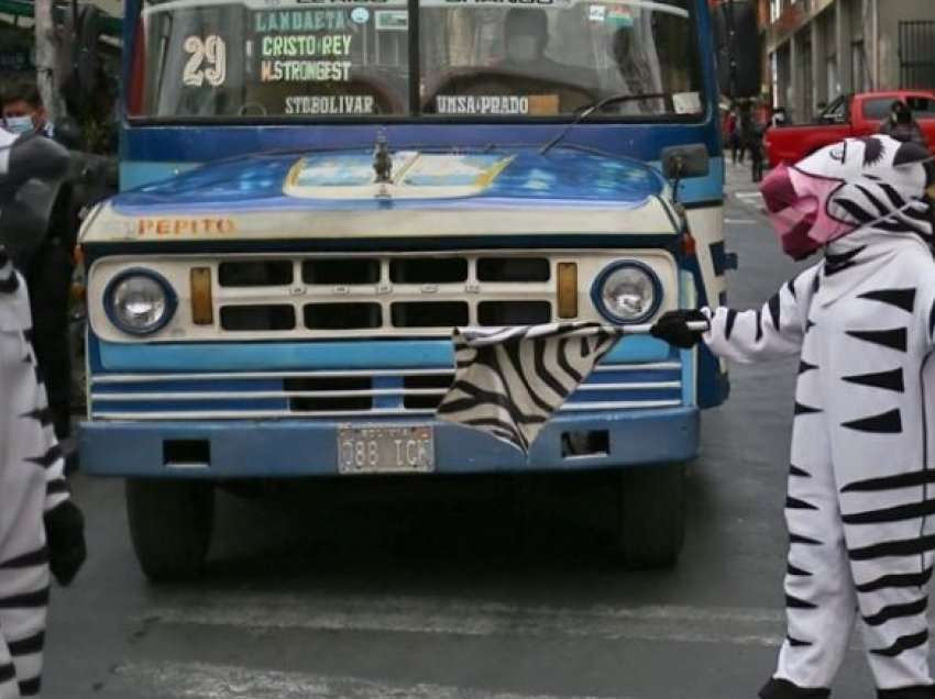 Kostume zebra për edukim rrugor në Bolivi
