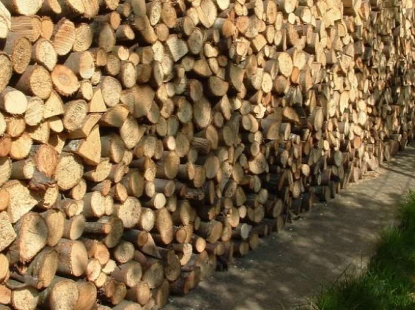 Kriza energjetike rrit kërkesën për dru, qytetarët ankohen për çmime