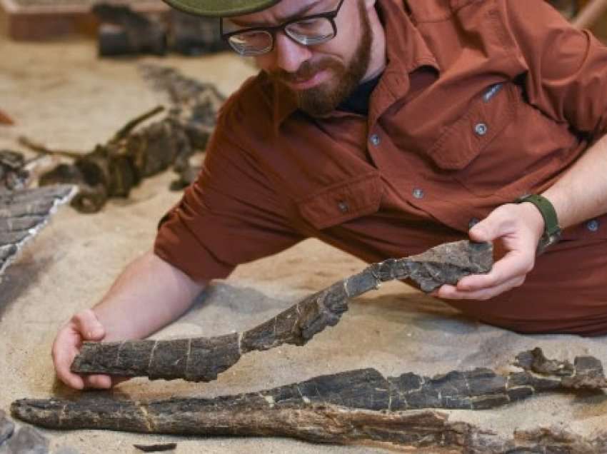 Përbindëshi me 'fytyrë gjarpri' u zbulua në Wyoming