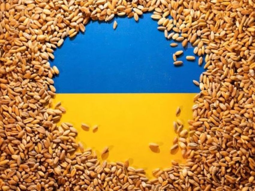 Hungaria do të lejojë tranzitin e drithit ukrainas