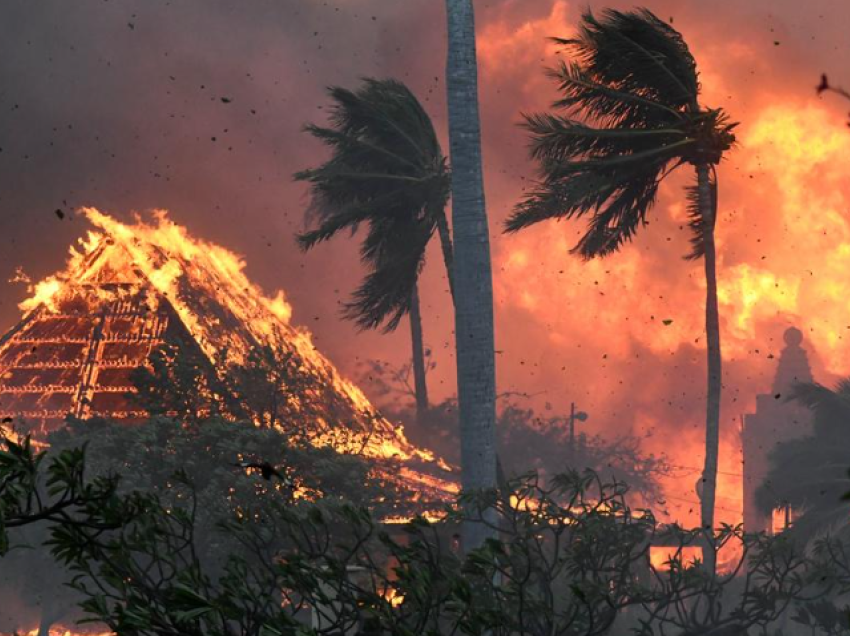 Të paktën 55 të vdekur dhe qindra të zhdukur/ Çfarë i shkaktoi zjarret shkatërruese të Hawaii-t?