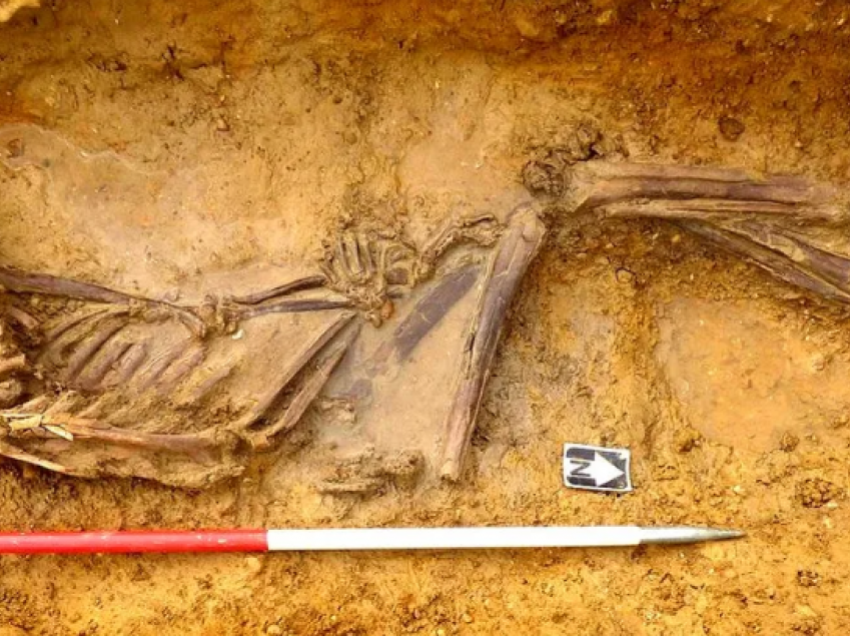 Ekspertët e ADN-së kanë zgjidhur misterin e kufomës 2000 vjeçare