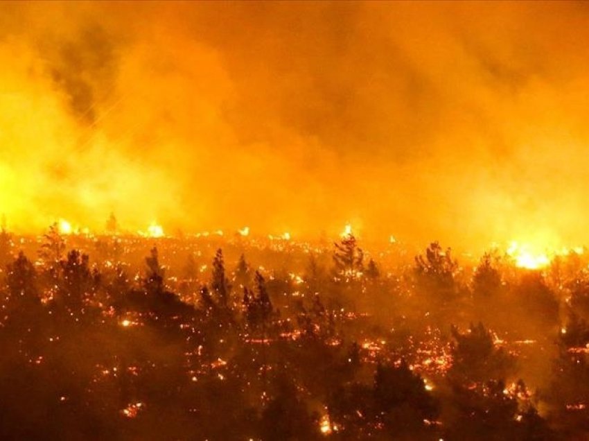 13 të vdekur nga zjarret pyjore në Kil