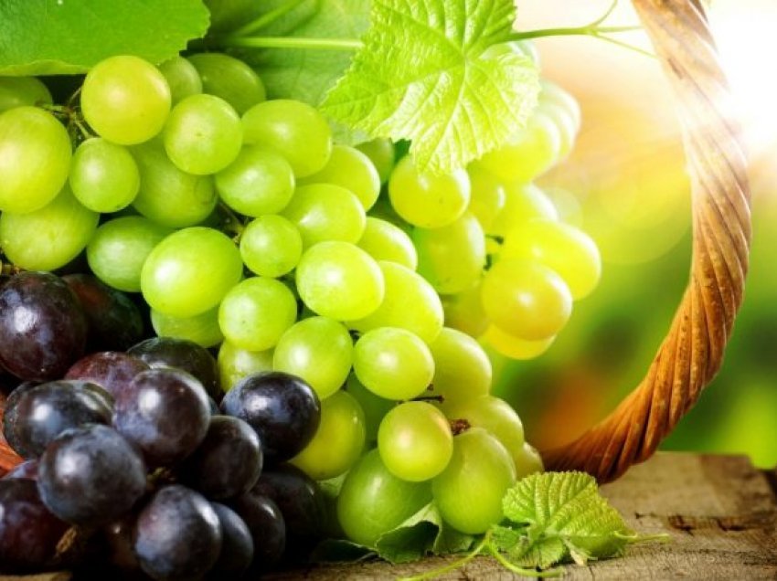 Rrushi zvogëlon nivelin e sheqerit në gjak dhe mbron nga diabeti