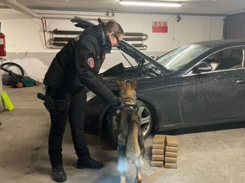 Arrestohet shqiptarja me 10 kg kokainë në makinë, u kap “mat” nga qeni i policisë