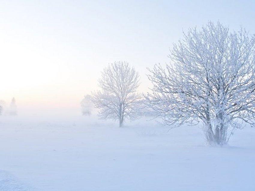 I ftohti ka anët e tij pozitive: 9 arsye pse dimri është i mirë për shëndetin