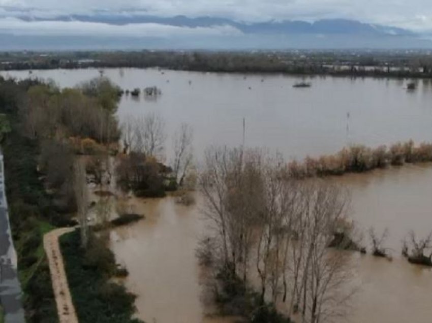 Situata në Shkodër/ 1400 hektarë tokë e përmbytur, 15 shtëpi në ujë
