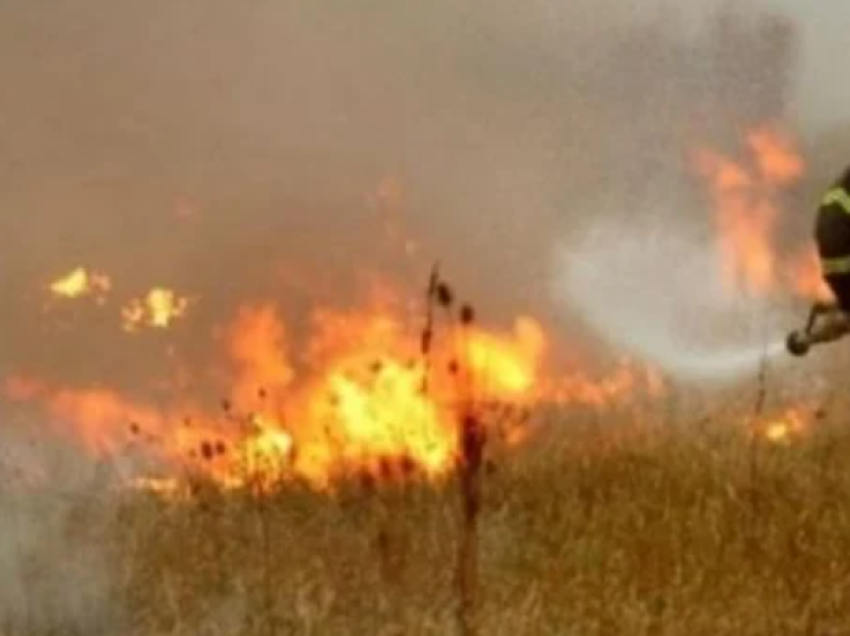 Rreth 50 ari grurë përfshihen nga zjarri në Rahovec