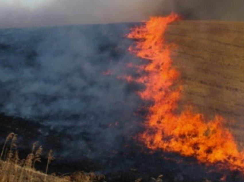Vihen nën kontroll dy vatrat e zjarrit në Peshtan të Fierit