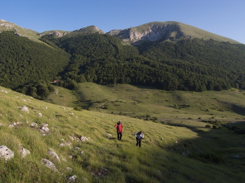 Maqedoni, gjenden 3 shtetasit amerikanë që kishin humbur në malin e Galiçicës