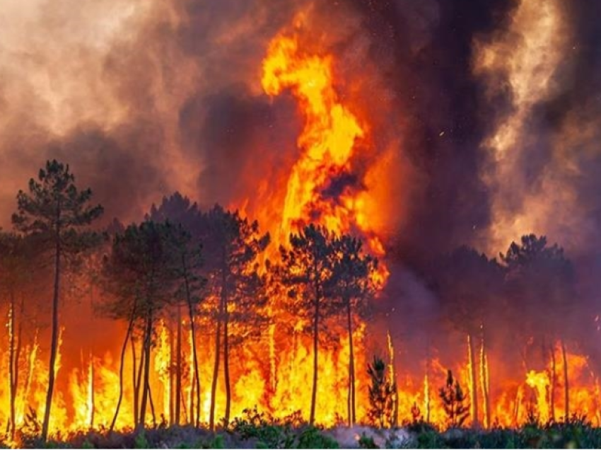 Francë, digjen 200 hektarë tokë nga zjarri në ishullin e Korsikës, evakuohen banorët