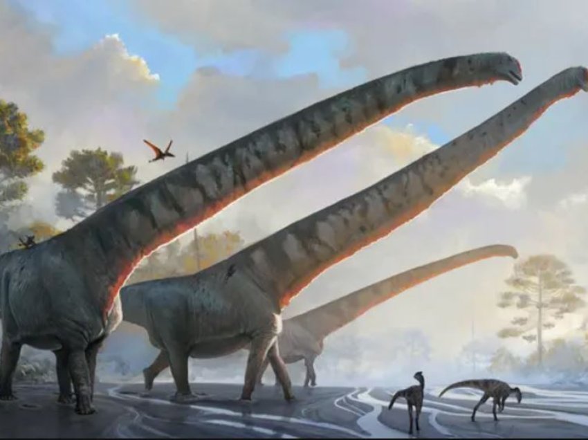 Në Kinë zbulohen dinozaurët me qafën 15 metra të gjatë
