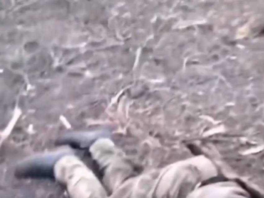 Ukraina gjen një grup të ushtarëve rusë të vrarë në Bakhmut