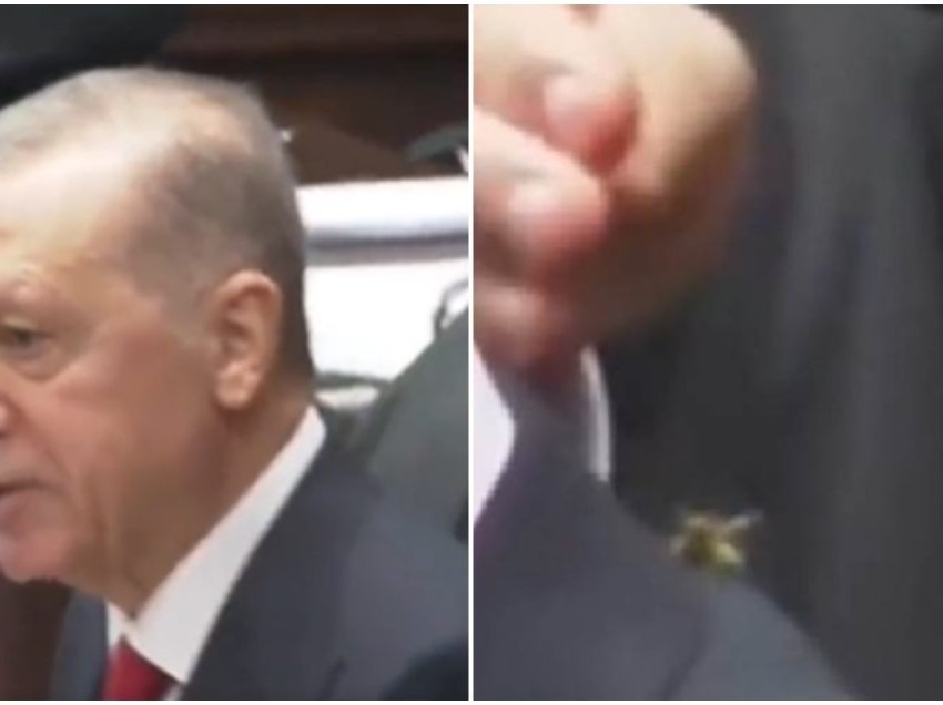 Momenti epik kur roja e sigurisë shpëton Erdoganin nga grerëza 