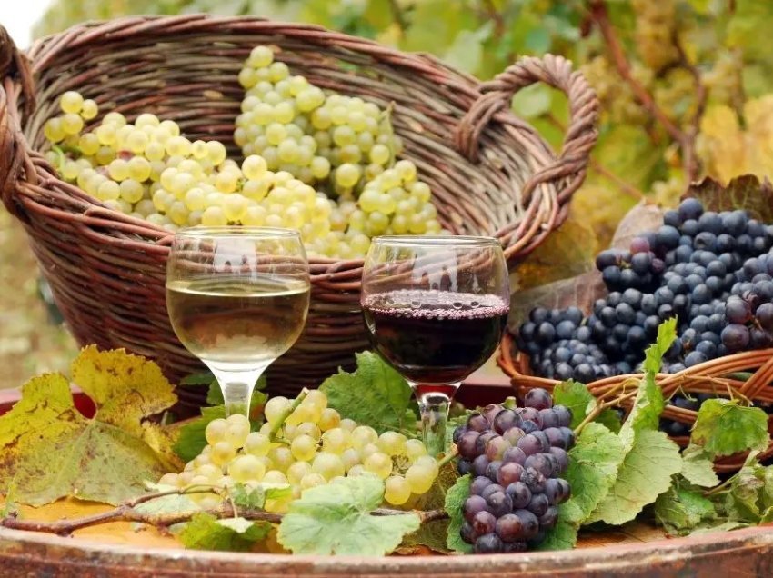 Rrushi: fruti i pasur me antioksidantë shërues për zemrën dhe zorrët