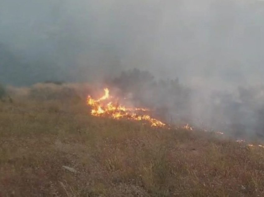 Zjarri në Kondovë të Shkupit po përhapet në pyllin me pisha