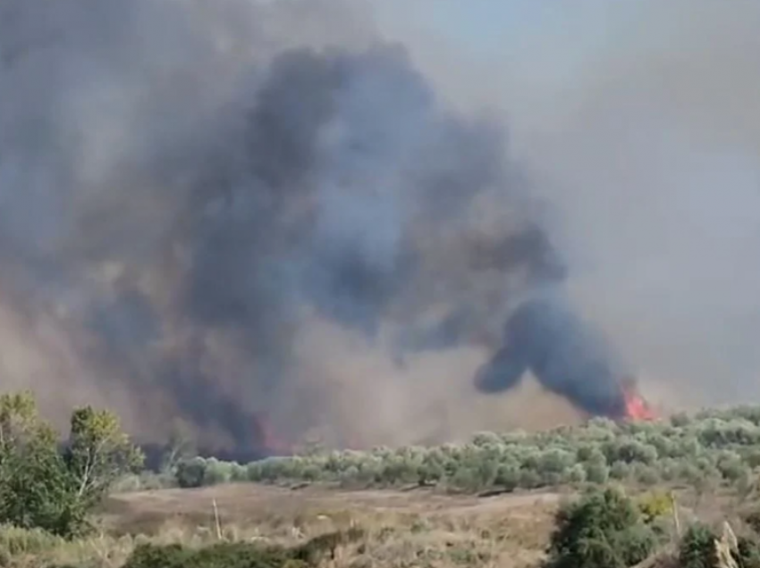 Janë shuar 20 zjarre gjatë fundjavës në Maqedoni, sot nuk ka zjarre aktive