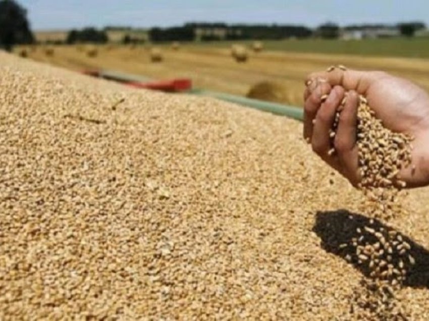 OKB-ja nuk përjashton heqjen e disa kufizimeve kundër Rusisë për grurin