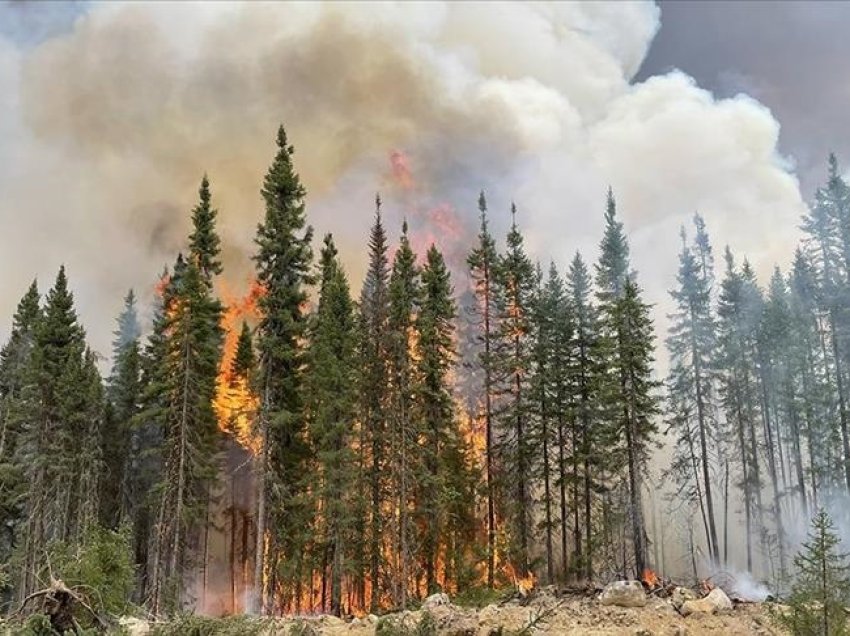 Kanada, rreth 800 zjarre pyjore nuk janë arritur të vendosen nën kontroll