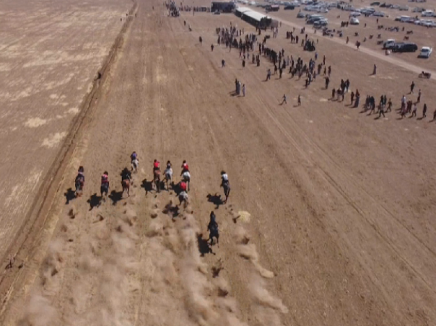 Kuaj arabë race marrin pjesë në garën tradicionale në veriperëndim të Sirisë