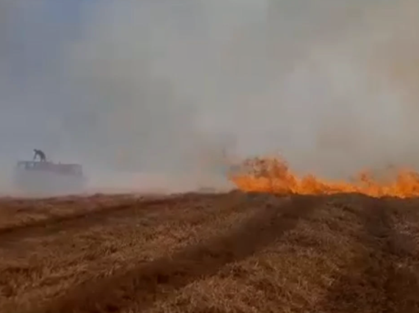 Zjarr në Maliq/ Përfshihet nga flakët një sipërfaqe e madhe toke me shkurre