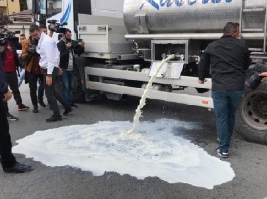 Në Kosovë bie prodhimi i qumështit, në Shqipëri fermerët derdhin qumështin në rrugë
