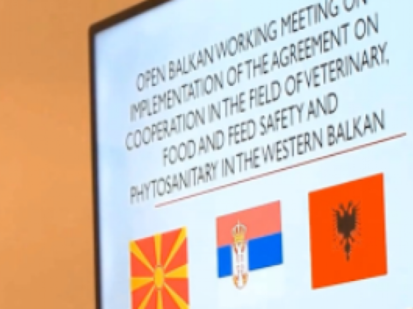 Mbi 700 qytetar të RMV kanë shprehur interes për të punuar në Serbi ose Shqipëri në iniciativën Ballkani i Hapur