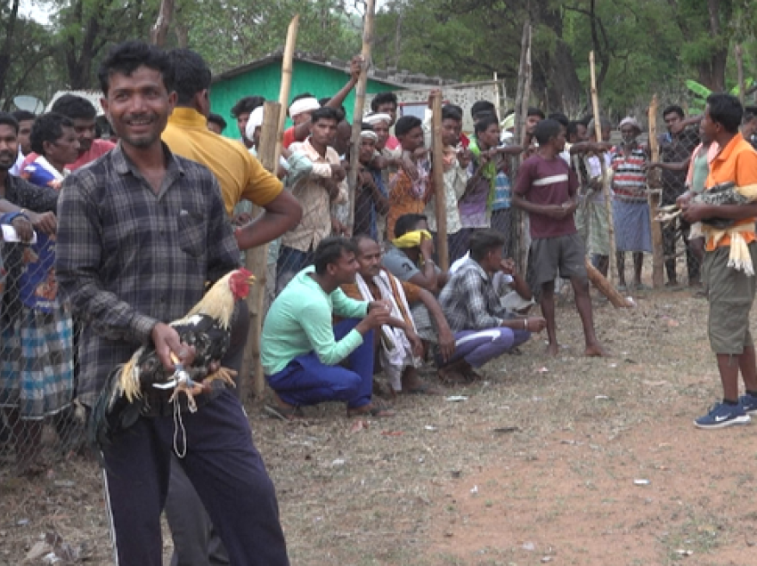 Duelet e gjelave vijojnë të dëfrejnë komunitetet tribale në fshatrat e Indisë