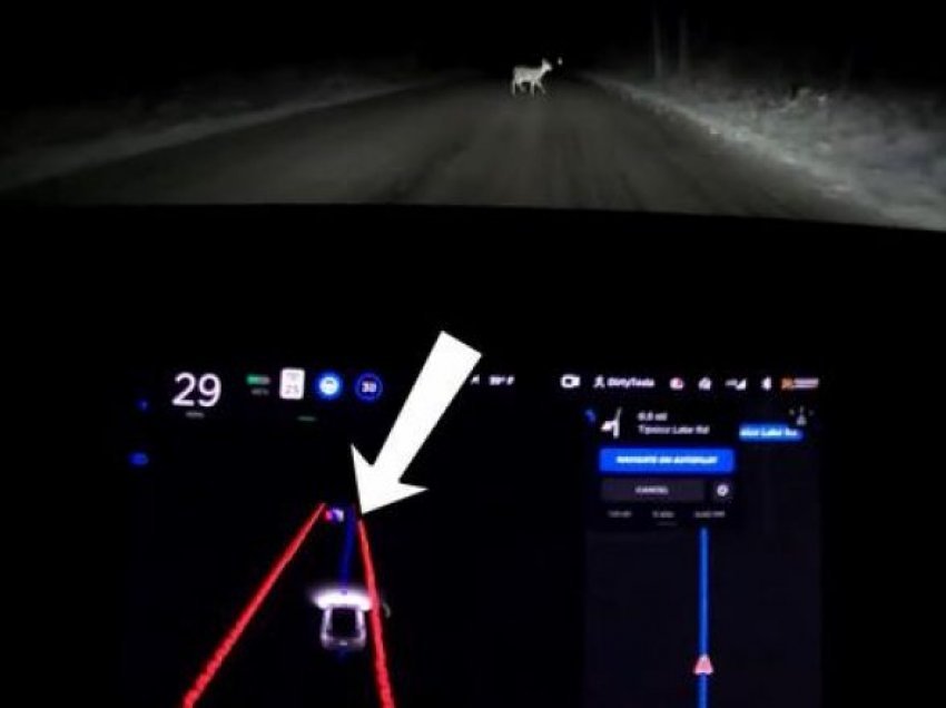 Video që tregon se si një Tesla që drejtohet vet i shmanget një dreri në rrugë