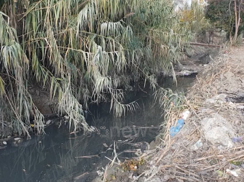 Ankohen banorët e Lagjes 15 në Durrës: Nuk hyjmë dot në shtëpi nga era e kanalit