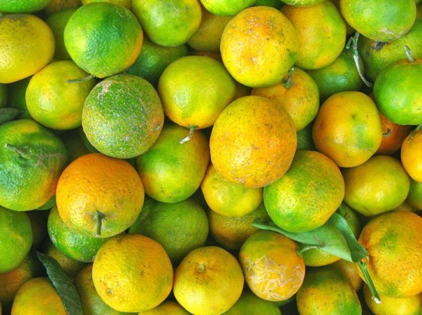 Mandarinat e gjelbra shqiptare – fuqitë e forta natyrore kundër problemeve shëndetësore