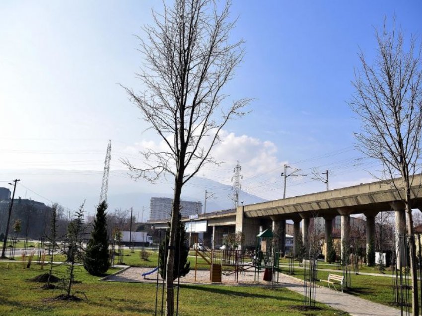 Vazhdon gjelbërimi i Shkupit, janë mbjellur mbi 15.000 fidanë me cilësi të lartë