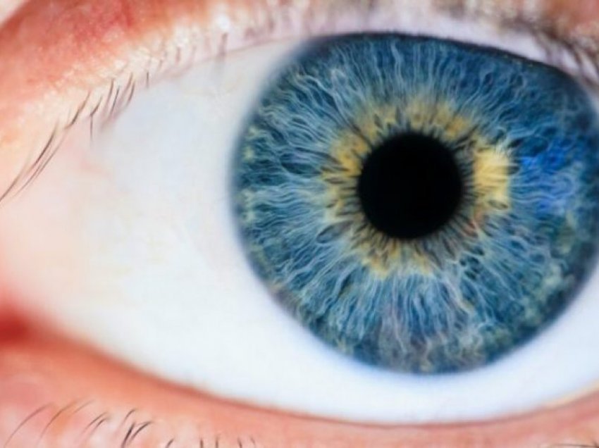 Zbulim i papritur për njerëzit me sytë e kaltër dhe prejardhjen e tyre