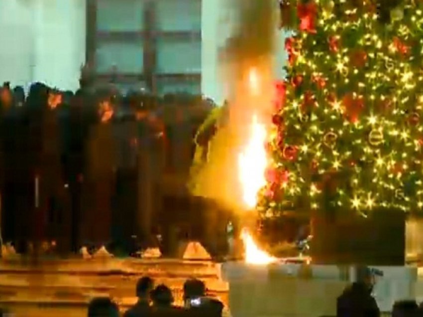 I vuri flakën pemës së Krishtlindjeve, arrestohet 22-vjeçari në Tiranë