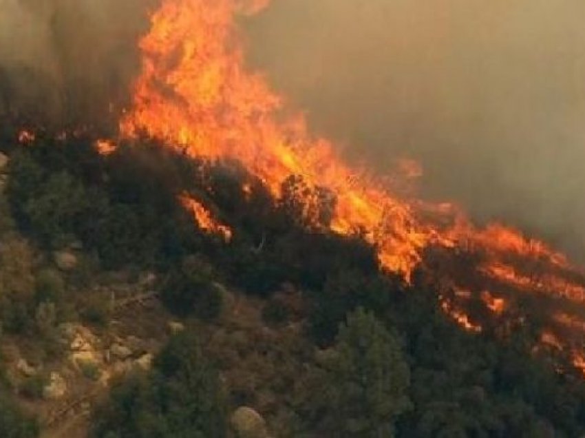 Zjarr në kodrinat e Matomarës, qindra rrënjë ullinj “nën pushtetin” e flakëve, zjarrfikëset në vendngjarje