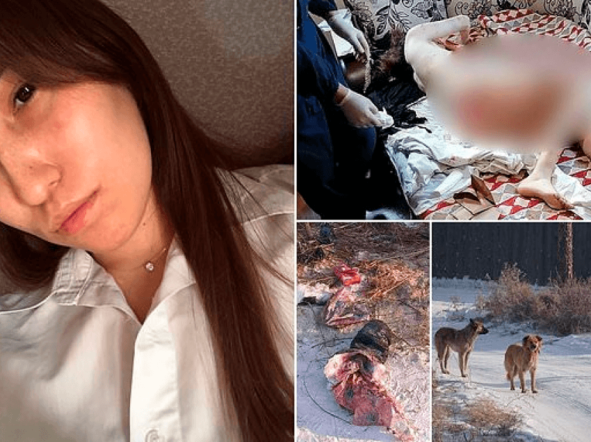 Estetistja 20 vjeçare masakrohet nga tufa e qenve të rrugës teksa kthehej në shtëpi në Rusi