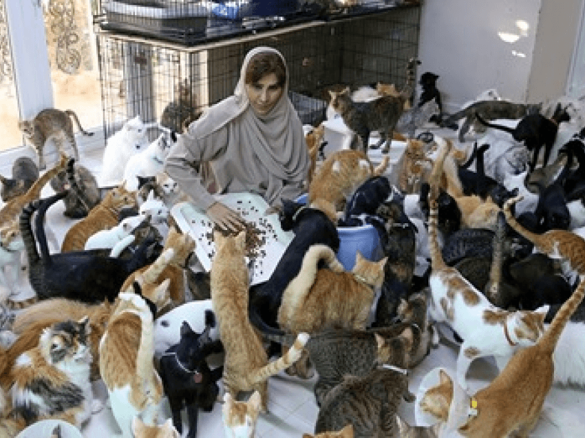 Gruaja nga Omani jeton me 492 kafshë shtëpiake: Janë më besnike se njerëzit