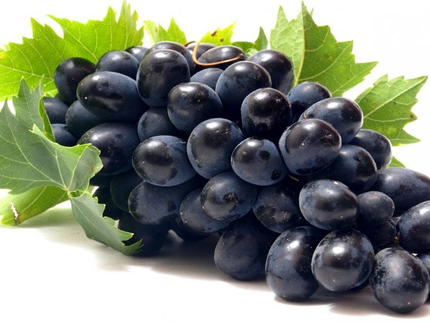 Farat e rrushit/ Si t’i përdorni për veshkat dhe mëlçinë