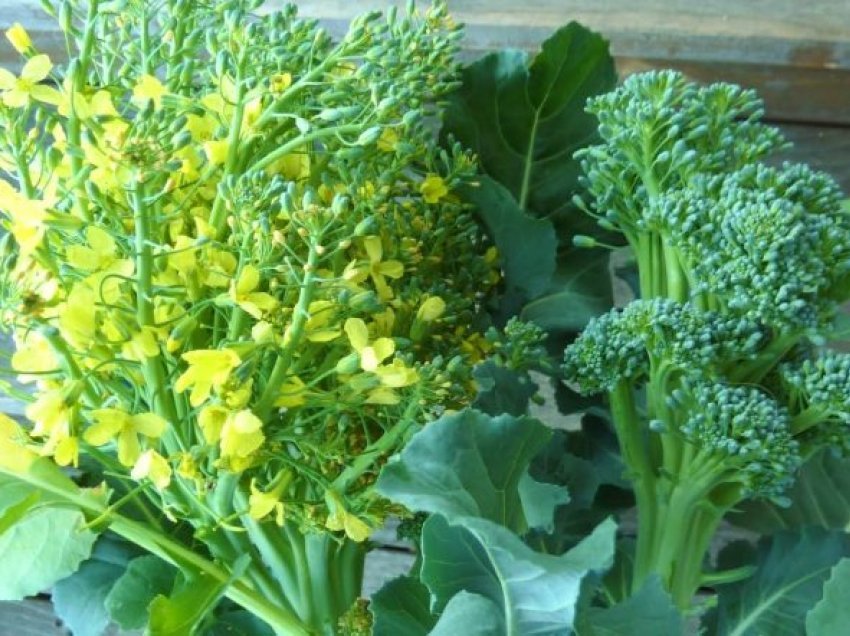 Lulet e brokolit, surprizat e një perimeje plot vlera