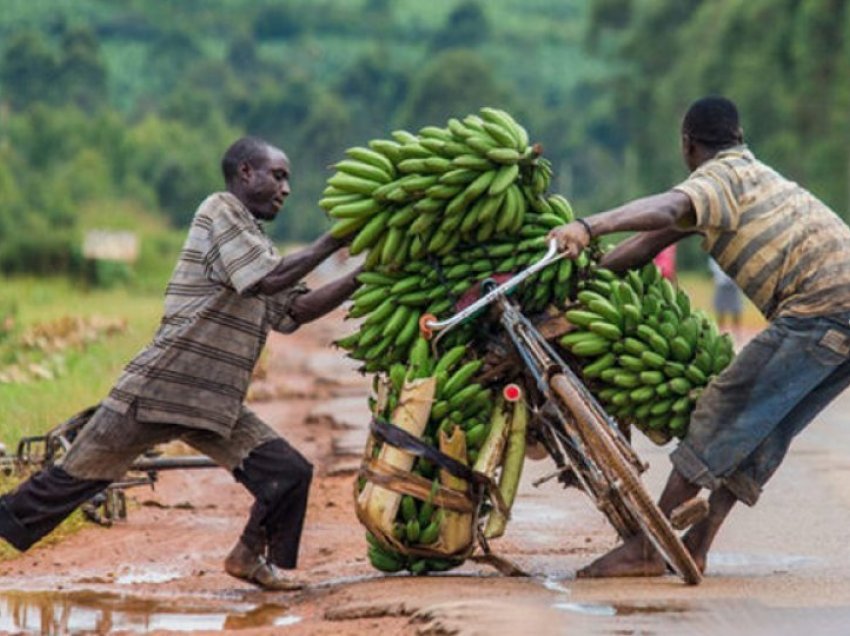 Uganda nis prodhimin e tepihëve dhe shtesave të flokëve nga mbetjet e bananeve