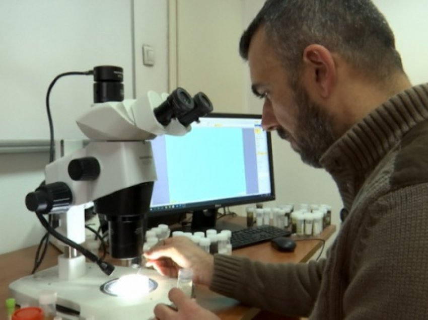 Profesori që e zbuloi insektin në Bjeshkët e Nemuna, tregon pse vendosi ta quajë “Coronavirus”