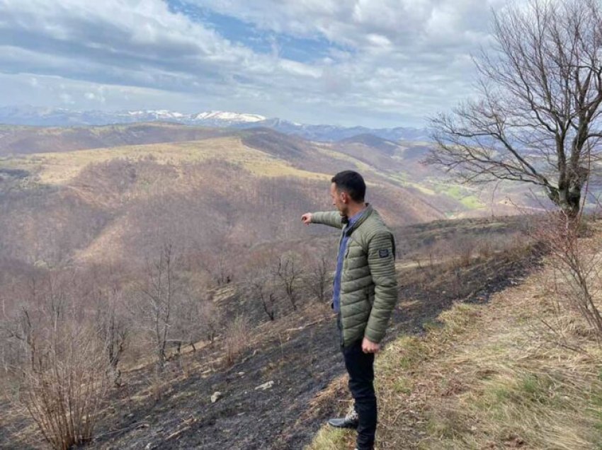 “Shkrumbohen” sipërfaqet me pyje në disa fshatra të Podujevës