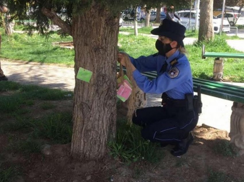 Nën moton “Duaje jetën –Duaje veten”, policia në Mitrovicën Jugore zhvillon aktivitet të veçantë