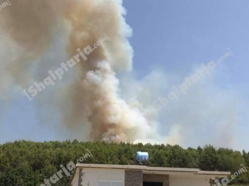 2 vatra zjarri në Mamurras, rrezikohen rreth 5 banesa