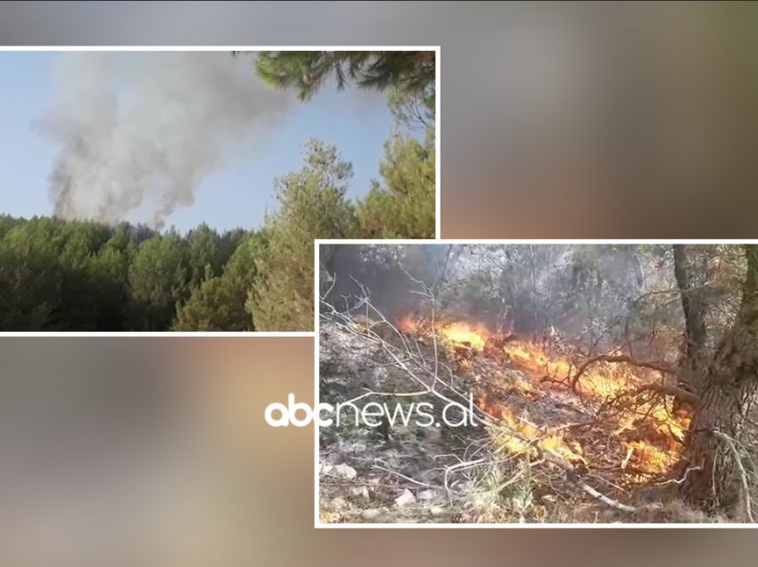 U rrezikuan 5 banesa nga flakët, kryetarja e Bashkisë Kurbin: Vatrat e zjarrit në Mamurras nën kontroll