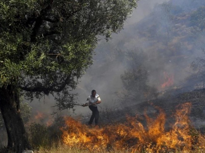 Zjarret kaplojnë Shqipërinë, kjo është pjesa më e rrezikuar