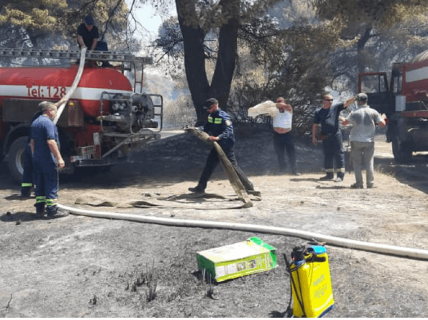Neutralizohet plotësisht zjarri në Delisuf, Peleshi: Shpëtojnë banesat në fshatin Dukat