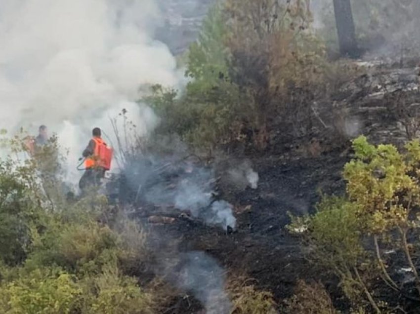 Shqipëri: Vazhdojnë zjarret në male, dëme mjedisore të konsiderueshme