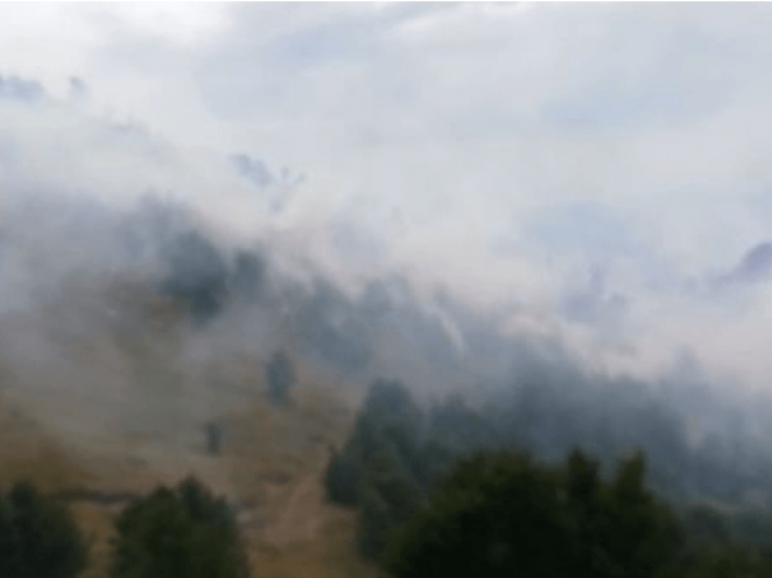 Zjarri në Shkodër, bashkia apel për vënien para përgjegjësisë të autorëve